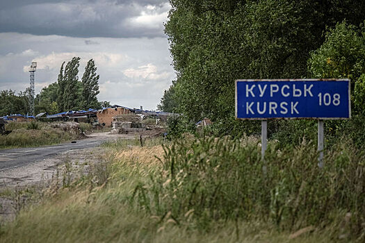 В Курской области назвали число освобожденных жителей за сутки в регионе