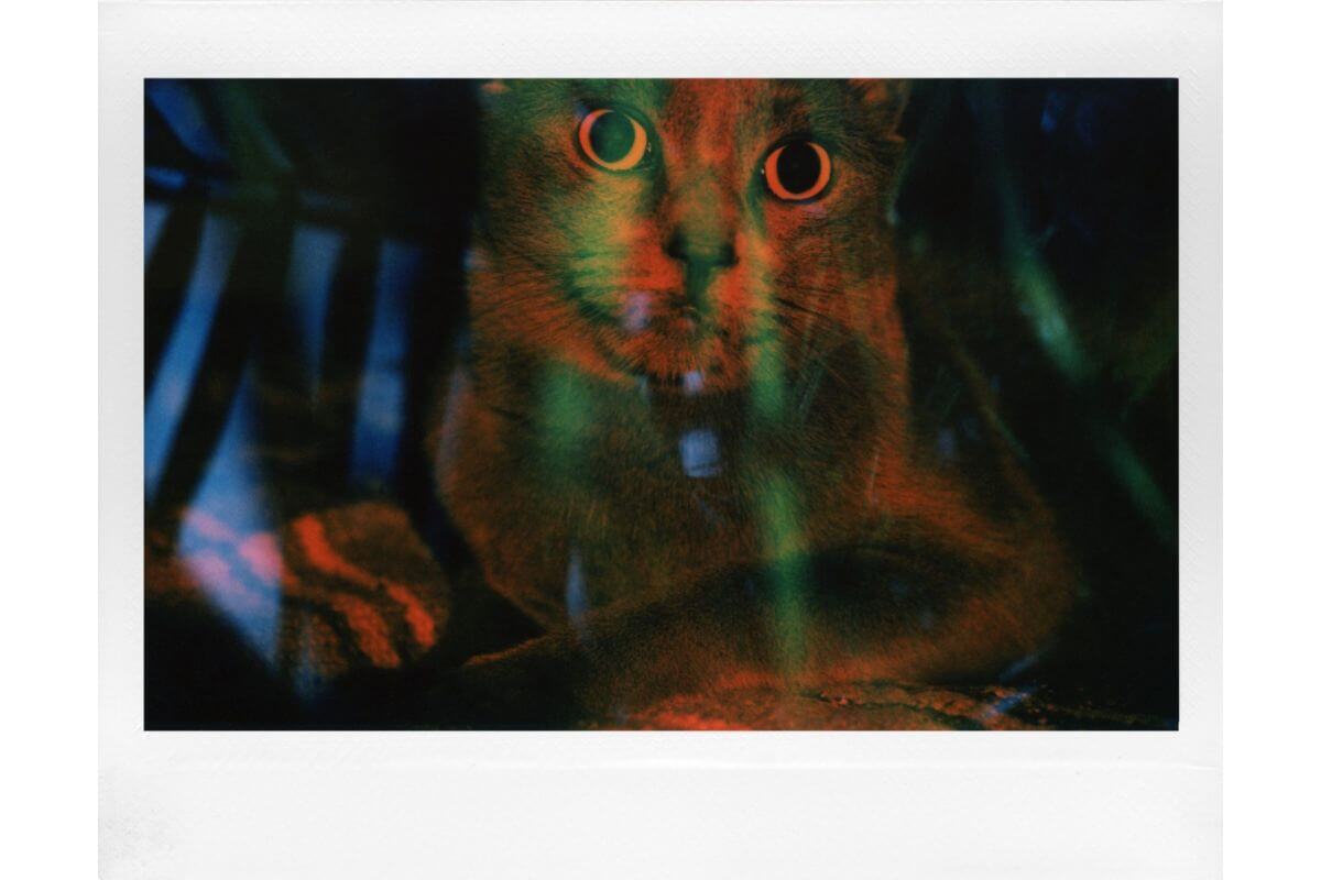 Представлена Lomo Instant Wide Glass – моментальная камера со стеклянным объективом8