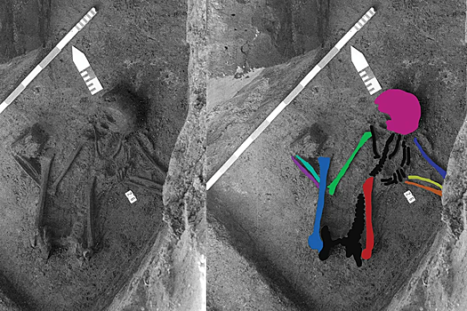 Древний скелет из костей пяти разных людей поставил ученых в тупик