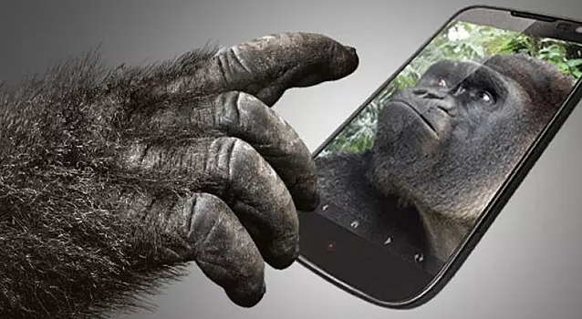 ЕС обвинил производителя стекла Gorilla Glass в монополии