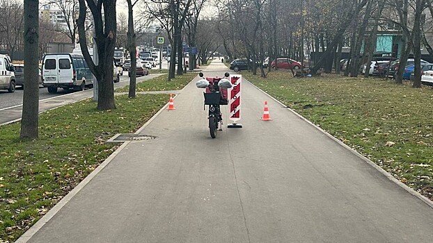 Курьер на велосипеде сбил женщину с младенцем в Москве