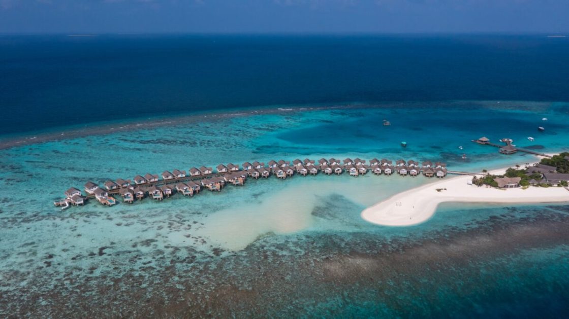 Курорт Cora Cora Maldives запустил программу по восстановлению кораллов8