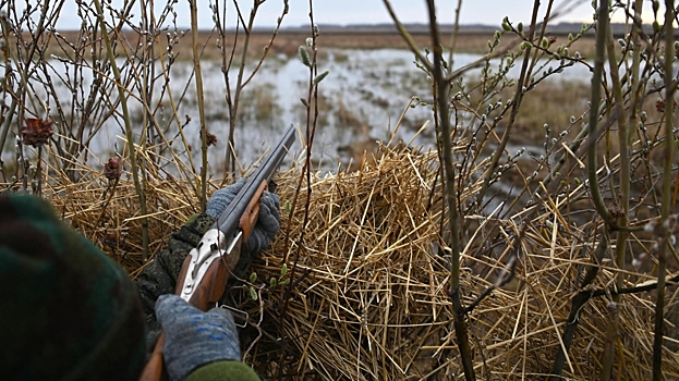 Охотник застрелил агрессивного незнакомца в маске с ножом под Петербургом