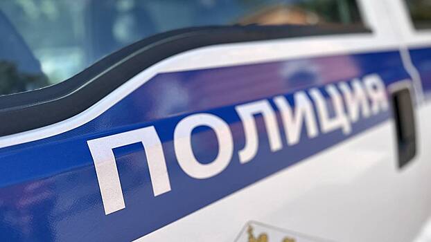 Полиция задержала подозреваемого в краже двух автомобилей в Москве