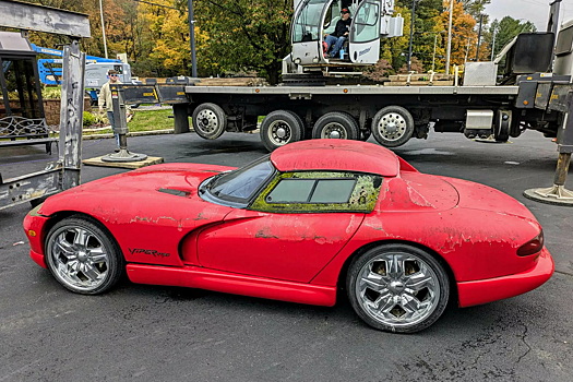 Найден новый Dodge Viper с плесенью, в котором птицы свили гнезда