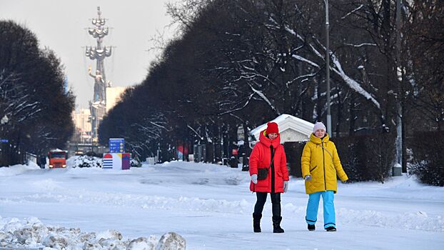 Врач напомнил, почему нельзя ходить без шапки зимой