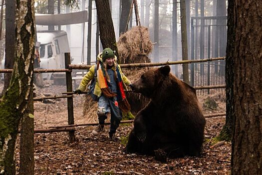 Стартовали съемки комедии «Мой папа — медведь»