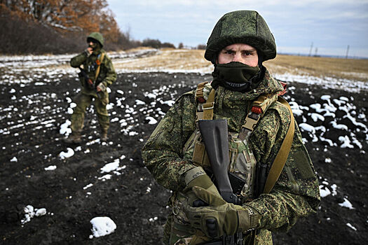 На Украине рассказали, что случится при взятии ВС РФ Великой Новоселки в ДНР