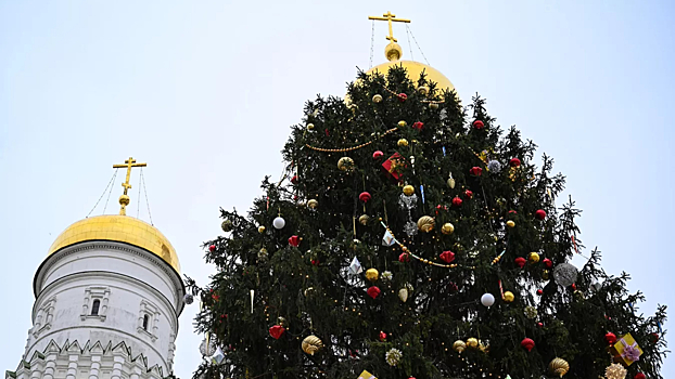 Стало известно, сколько человек планируют посетить главную елку в Москве