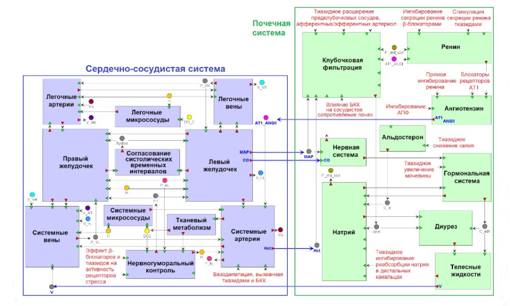 Виртуальные пациенты в России1