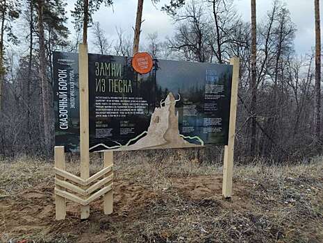 В Бузулукском бору продолжается обустройство новой экотропы «Сказочный борок»