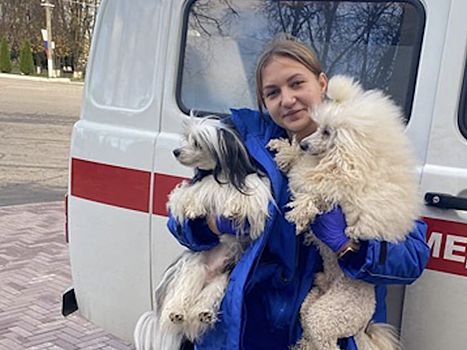 В Смоленской области попал в ДТП автобус с брянскими циркачами