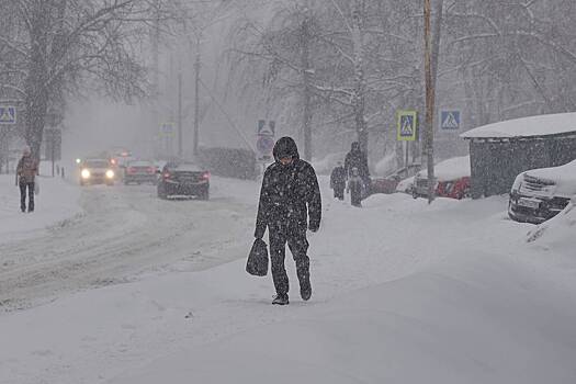 Москву накрыл снегопад